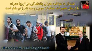 12045434_508289335997977_8592301551150551457_o