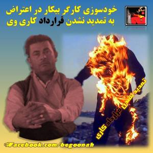 12049621_508947359265508_6878453040161462480_n