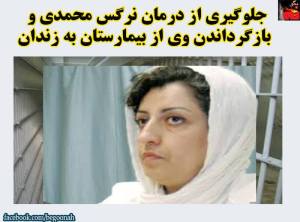 12079296_509877569172487_9096501171699969228_n