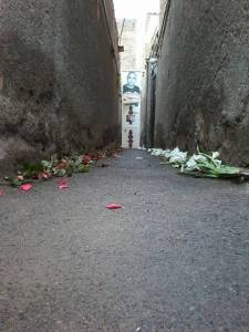 12065859_518622098298034_1524308643807497557_n