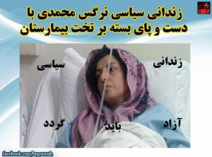 12079468_515180835308827_2766235461369322837_n