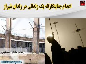 12088463_511386039021640_6147777215349589692_n