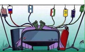 12105741_514371692056408_279927678512148204_n