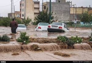 12108821_519009321592645_2200881940368827706_n