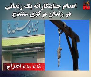 12118687_512045522289025_443718927836443692_n