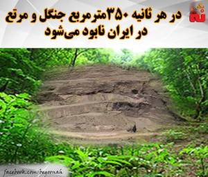 12122543_511424542351123_4331272594845924865_n