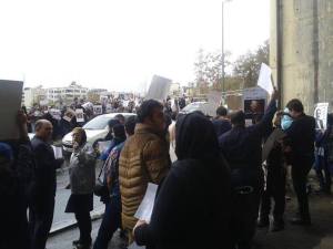 12122698_515300855296825_3922896439748786556_n