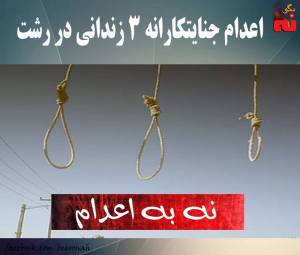 12141738_512991522194425_6570932833404427584_n