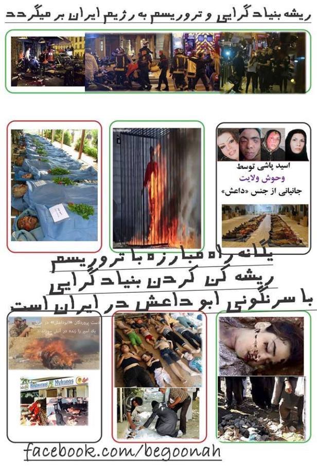 11168129_523820357778208_398337305558736004_n