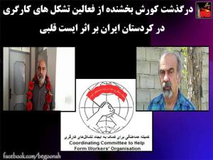 12189178_520521388108105_1549127921573741383_n