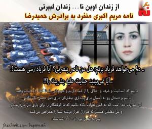 12194808_522721114554799_2438633321892010040_o