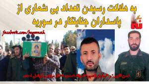 12194974_520428014784109_6207538993182835837_o