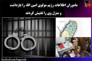 12195880_521638247996419_9061830506274920229_n