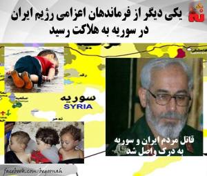 12196115_521008808059363_8240459068353436803_n