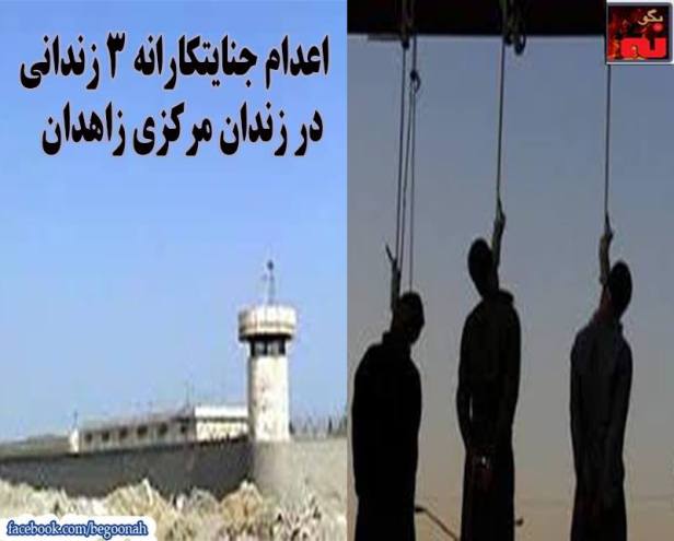 12243473_525486027611641_8220457467187742143_n