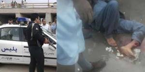 12249980_522728167887427_5107258407392012721_n