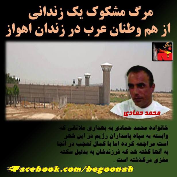 12274722_527145977445646_4556708578930427114_n