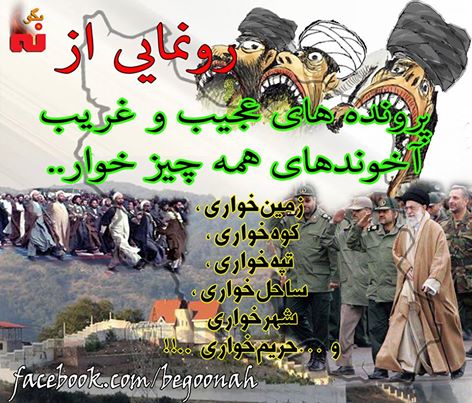 12310409_527164887443755_3503466320713672822_n