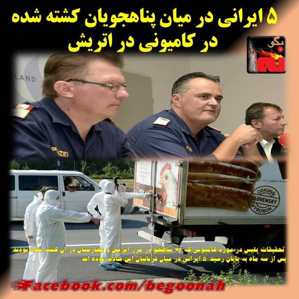 12316389_526880467472197_5571386491261237799_n