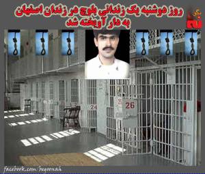 905733_520492774777633_793193591471975504_o