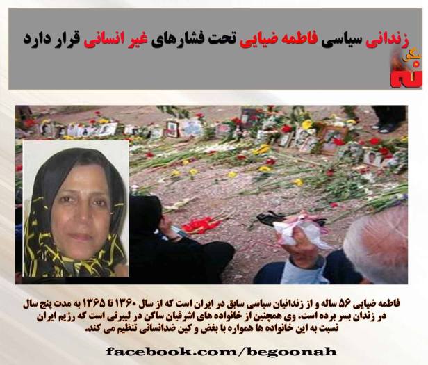 1078996_533254500168127_7394018441954807824_o