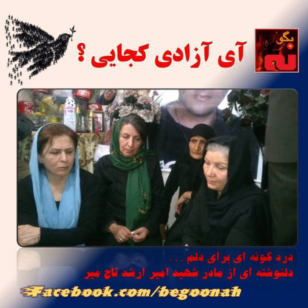 12289594_531659746994269_4946122200995031461_n