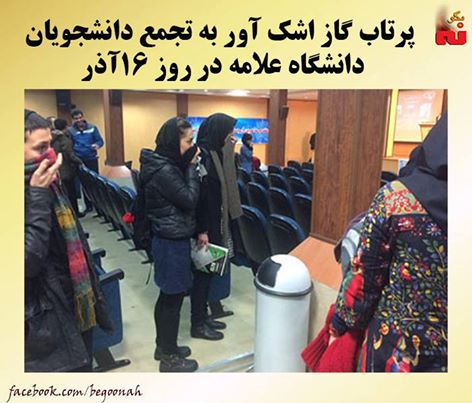 12310513_530258923801018_4235547321782706385_n