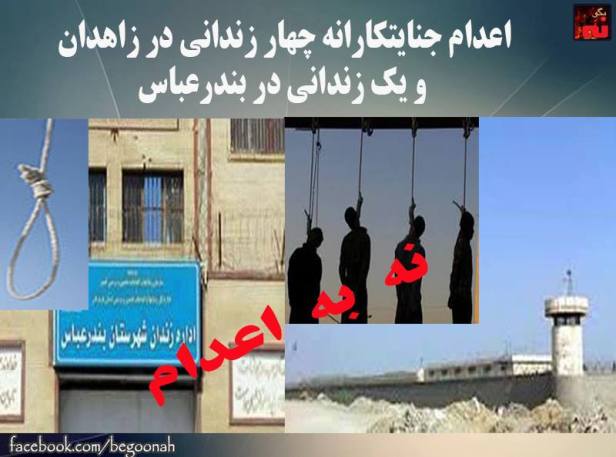 12316591_530514767108767_3763969137639513944_n