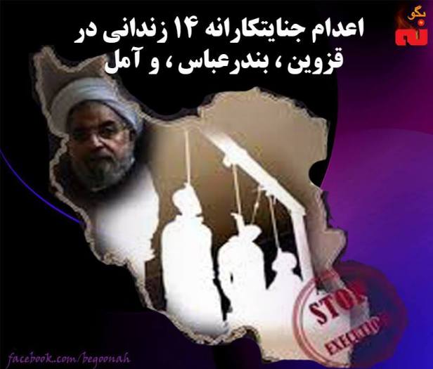 12321619_535400679953509_5038644106802142221_n