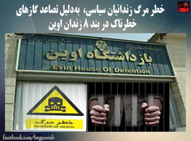 12345423_529557580537819_4381221433991012556_n