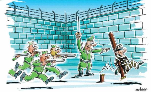 12359883_533612816798962_9080580190012432910_n