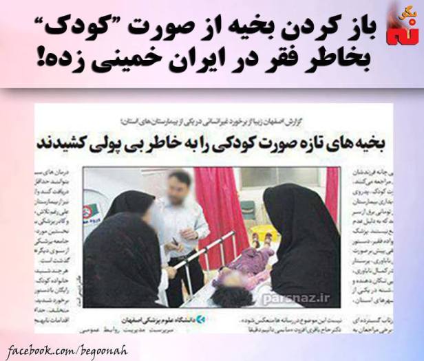 12360236_530510053775905_3100167554873771495_n