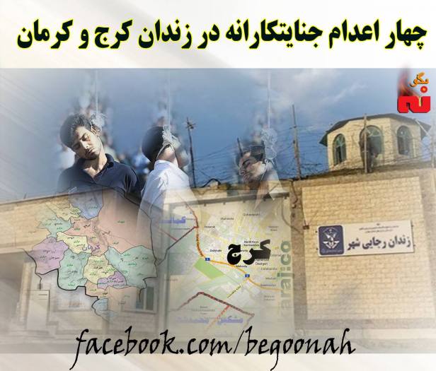 12370639_533290790164498_3441227241022845167_o