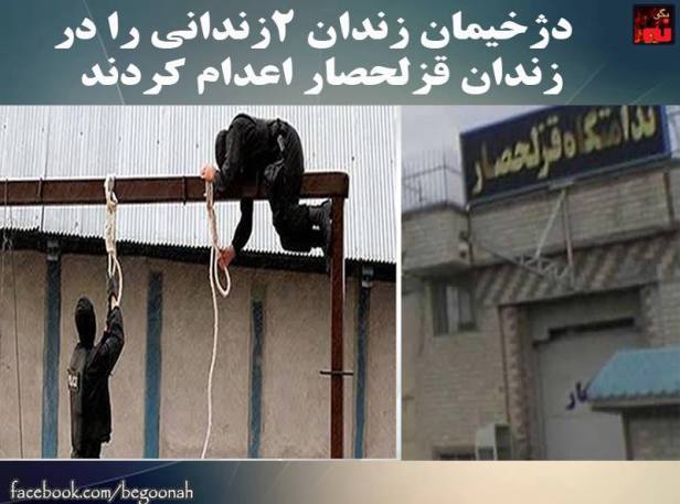 1502529_536313256528918_7300332877097325504_n