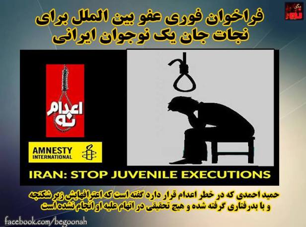 1936190_535764283250482_2514040540839161942_n