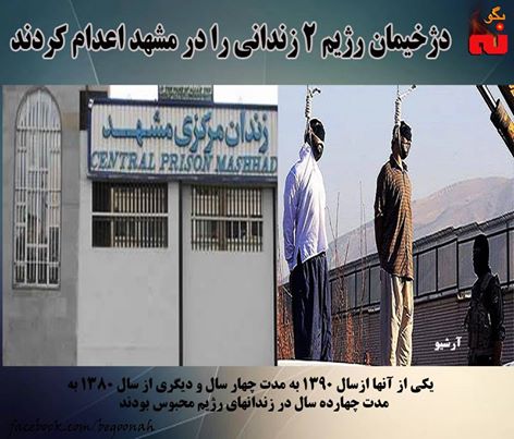 10255360_539635769530000_5405135975338965369_n