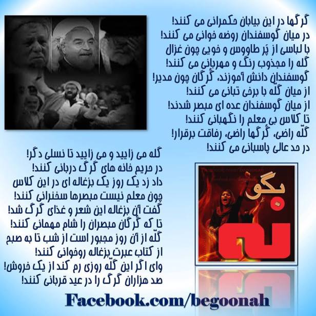 12400901_546008075559436_5076432330793011622_n