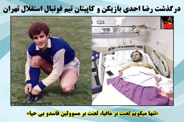 12438984_545563628937214_5689445318139467533_n