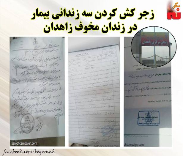 12466128_539786162848294_810008703967784927_o