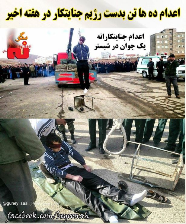 12484613_541636469329930_7066036748401318404_o