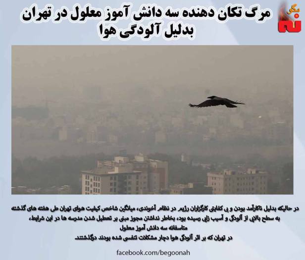 12489331_540044232822487_6678372643492645734_o