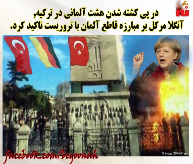 12493459_543465269147050_5585443864084303594_o