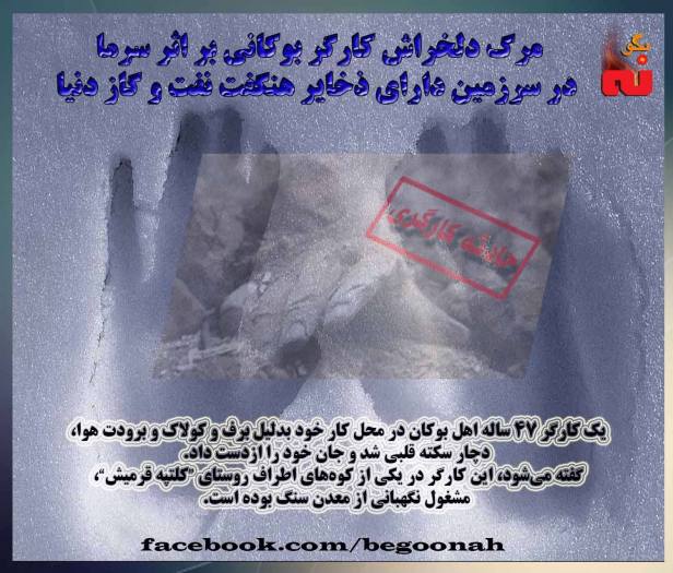 12493462_540569522769958_2358348965089530766_o