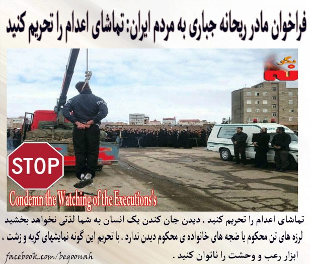 12493804_542261285934115_1840393231696149067_o