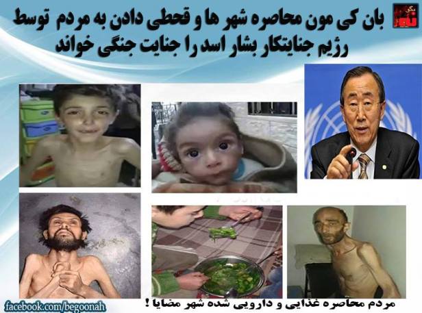 12495203_544301162396794_1077615628230393679_n