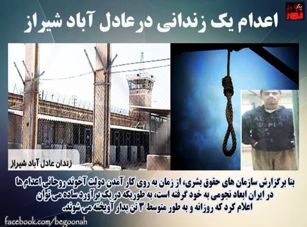 12507215_544327192394191_6552673924104218871_n