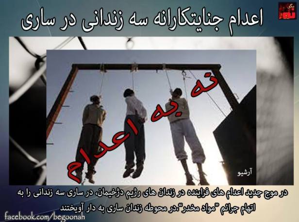 12509455_542922932534617_3645600148167009067_n