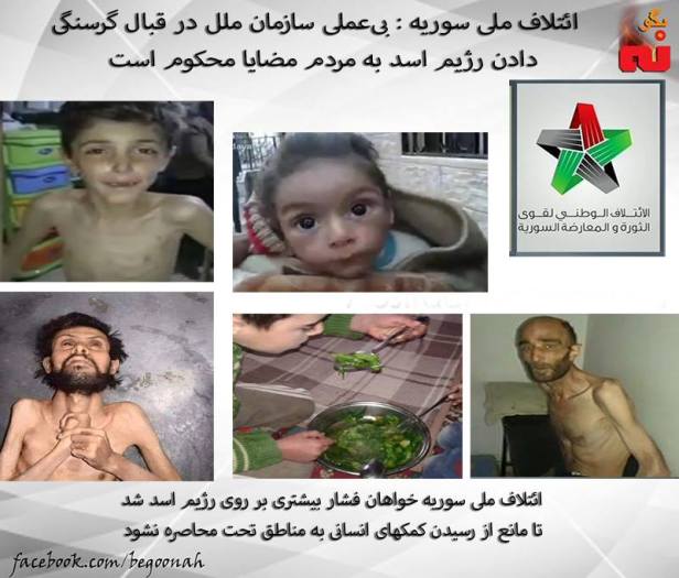 12509689_542053549288222_7966095801500658262_n