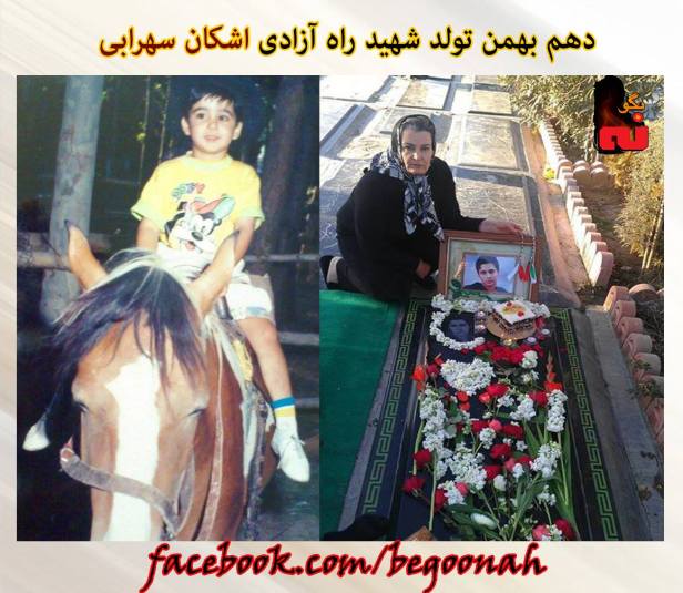 12640279_549950545165189_1725348843323556454_o