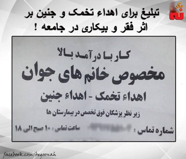 10336651_553095708184006_4864658807020140409_n